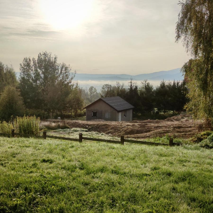 Domek Na Wzgorzu Wojcieszyce Exterior photo